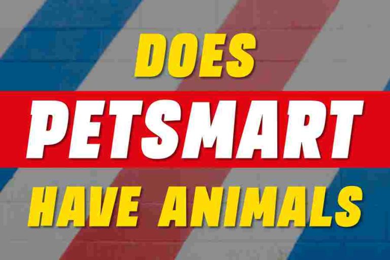 does-petsmart-have-animals-a-comprehensive-guide